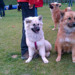 Akemi und Hina
