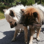 Akemi und Jasiri