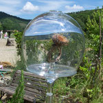 Natura Preziosa "Ampolla" (cristallo e vegetale ),pezzo unico 2014