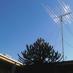 DUE GRUPPI D'ANTENNA...CHE MERAVIGLIA DIEGO VERO?