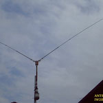 antenna bi-forcuta