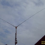 antenna bi-forcuta