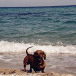 OTTO IN SPIAGGIA A PORTOCORALLO SARDEGNA 2002
