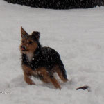 NIKI SULLA NEVE ..IN CORTILE