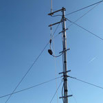 PALO CHE SUPPORTA LA WINDOM + X-50 DIAMOND