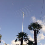 TRA LE PALME  (NON SIAMO A MIAMI -FLORIDA???..HI)