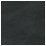 Copertina n. F66