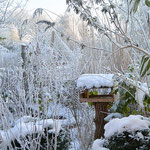 Winter in der Geestheller Gartenanlage, Foto: Kaden
