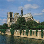 Seine mit Notre Dame in Paris