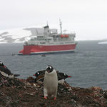Antarctique : Le M/S Expedition au milieu de nulle part