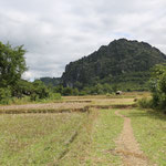 Pour arriver dans le village de Huay Bo, suivre le sentier longeant les rizières ...