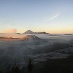 Cemara Lawang (île de Java) - Indonésie : La plaine du volcan Mont Bromo