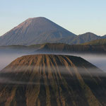 Cemara Lawang (île de Java) - Indonésie : La plaine du volcan Mont Bromo