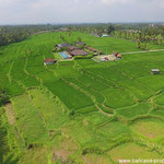 Ubud land for sale