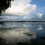 Vue sur les marais