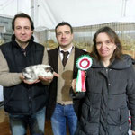 Migliore di razza Us teddy Cioko e bianca mag-pie EWOKS Morgana proprietario e allevatore PierLuigi Simonini