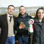 Migliore di razza Americano SATIN cremagouti e crema Remì del Castello dei Pilar propritario e allevatore Giuseppe Pileio