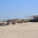 Schirmbar am Duhner Strand