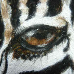 Auge Pastell Zebra (c)D.Saul 2013