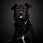 09.02.2024_Lady