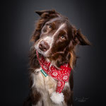 Balou