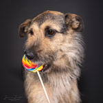 Tonka