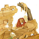 Illustration aus "Tierpfleger für einen Tag" , Loewe Verlag, siehe Kinderbücher