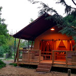 Éco lodge 