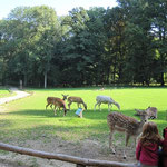 Wildpark Grafenberg