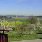 Ausblick Garten kleine Ferienwohnung Reisinger