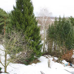 Blick vom Dachgeschoss