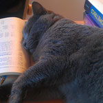 Sleeping prevents also reading