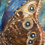 Morpho peleides I | Mischtechnik auf Leinwand | 100 x 150 cm