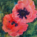 Türkischer Mohn | Mischtechnik auf Leinwand  | 90 x 90 cm | 2015