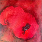 Mohnblüten I | Mischtechnik auf Leinwand | 100 x 100 cm | 2025