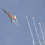 Nato Tiger Solodisplay belgische Luftwaffe