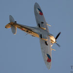 Spitfire