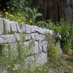 Trockensteinmauer mit Ritzen, bepflanzt mit einheimischen Stauden.
