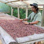 Finca Köbö - Einführung in die Welt der Kakao Pflanzen durch Alex...