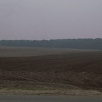 Blick auf den Winterlebensraum