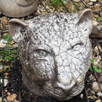 Cuisson raku à Saumont juillet 2021
