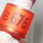 Vater von 0224.