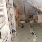 Reiseschlag.