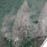 Delfine, die vor unserem Boot im Wasser geschwommen sind :)