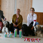 Gandi gewinnt an der Halloween, BOB, Bester in der CH gezüchteter Rüde, Beste Bewegung+Bestes Haarkleid