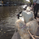 Amsterdam Herbst 2012