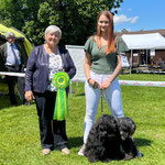 Amanda mit Im-chi & Gawa in der Paarklasse