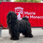 Im-chi in Monaco