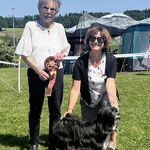 Oberhasli - Magic Best in Show Veteran 1.Platz