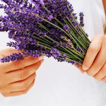 Lavanda: El mensaje Secreto